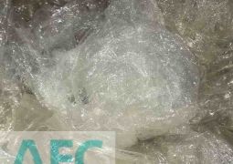 Streich Rossip 01